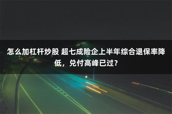 怎么加杠杆炒股 超七成险企上半年综合退保率降低，兑付高峰已过？