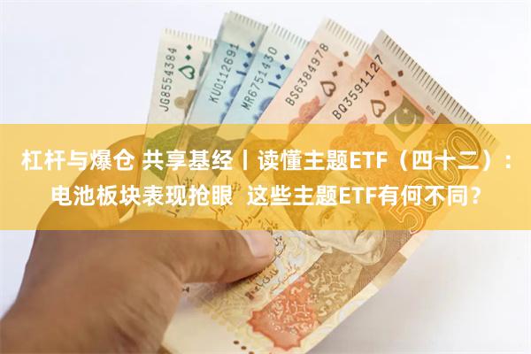 杠杆与爆仓 共享基经丨读懂主题ETF（四十二）：电池板块表现抢眼  这些主题ETF有何不同？