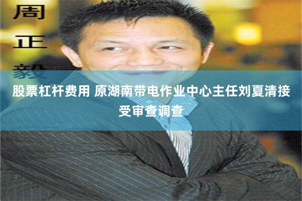 股票杠杆费用 原湖南带电作业中心主任刘夏清接受审查调查