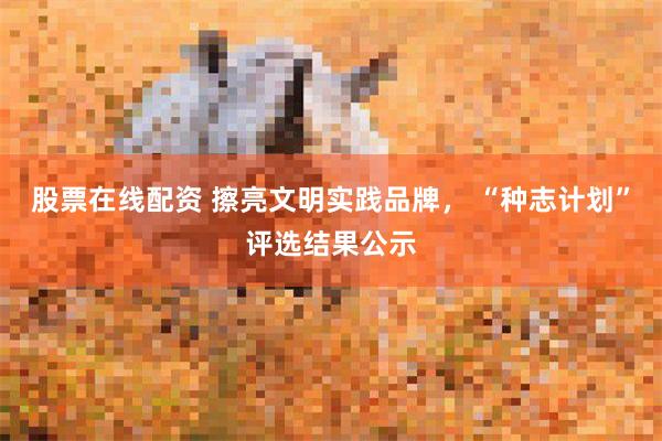 股票在线配资 擦亮文明实践品牌， “种志计划”评选结果公示