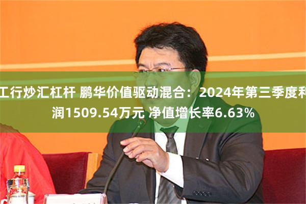 工行炒汇杠杆 鹏华价值驱动混合：2024年第三季度利润1509.54万元 净值增长率6.63%