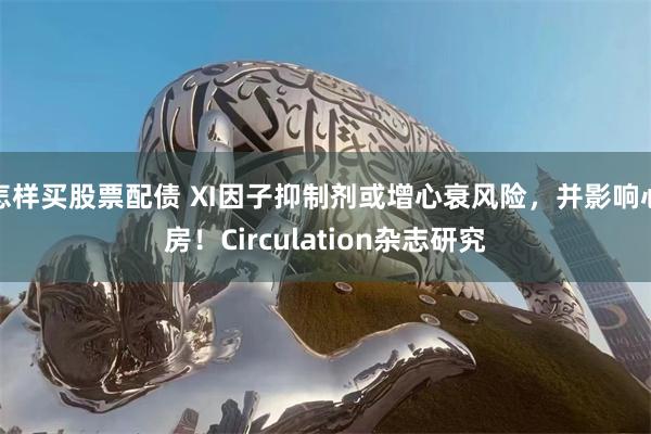 怎样买股票配债 Ⅺ因子抑制剂或增心衰风险，并影响心房！Circulation杂志研究