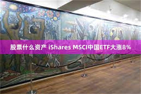 股票什么资产 iShares MSCI中国ETF大涨8%