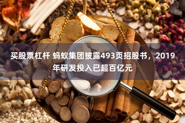 买股票杠杆 蚂蚁集团披露493页招股书，2019年研发投入已超百亿元