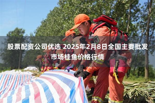 股票配资公司优选 2025年2月8日全国主要批发市场桂鱼价格行情